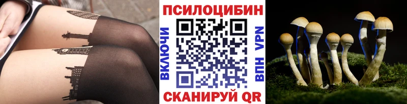 наркота  Каменногорск  Псилоцибиновые грибы мицелий 